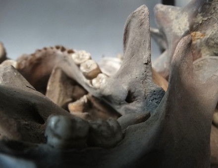 Bones of those killed in the 1971 Bangladesh Genocide at the Liberation War Museum, Dhaka. Adam Jones (CC BY-SA 2.0).